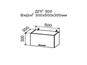 Шкаф верхний ДПГ500 горизонтальный в Верхнеуральске - verhneuralsk.магазин96.com | фото