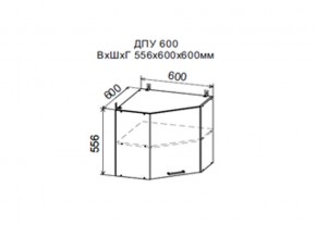 Шкаф верхний ДПУ600 угловой в Верхнеуральске - verhneuralsk.магазин96.com | фото